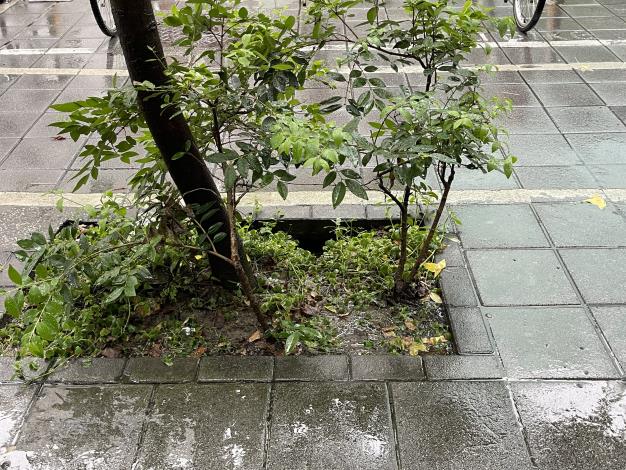 V03松山區南京東路三段270號人行道