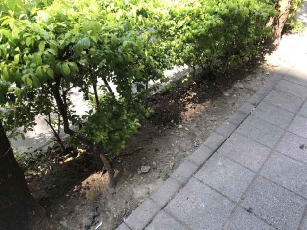 V08松山區南京東路三段262號人行道