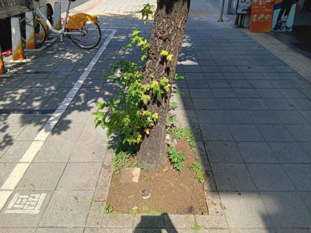 V南京東路四段73之1號-後