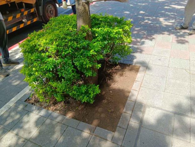 V南京東路五段1號-後