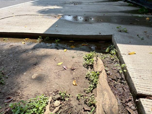 v01-2北投區文林北路(中正高中站公車站旁)-前