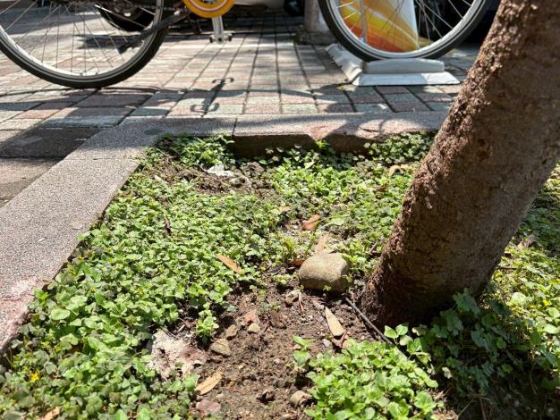 v03文林北路104號前-前