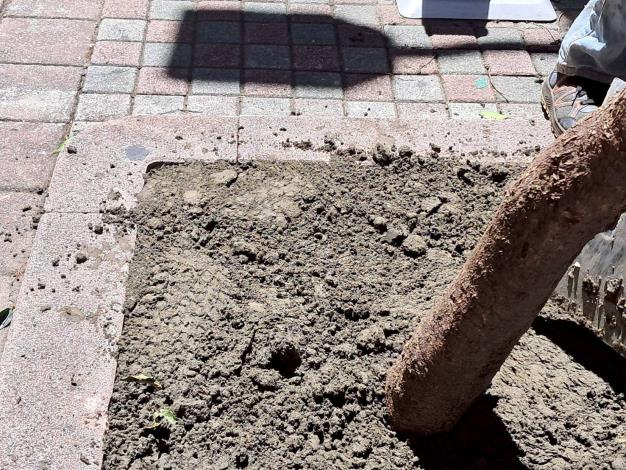 v03文林北路104號前-後