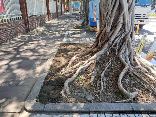 v13大業路695號-後