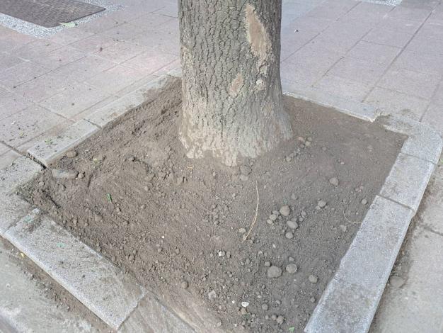 v01大業路548號-後