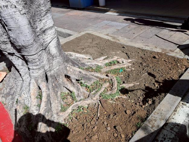 v05大業路713號-後