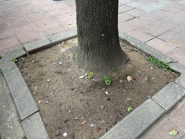 v01大業路548號-前