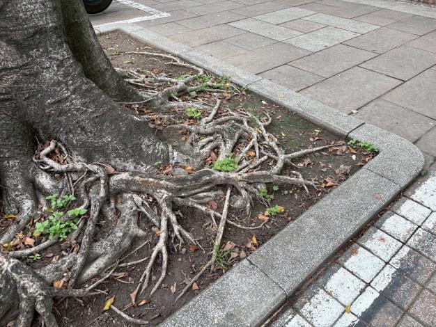 v10大業路695號-前