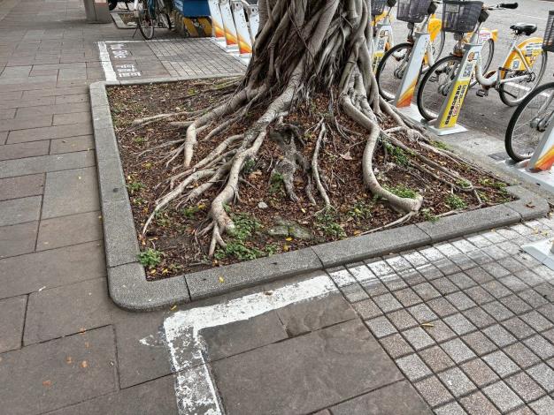 v13大業路695號-前