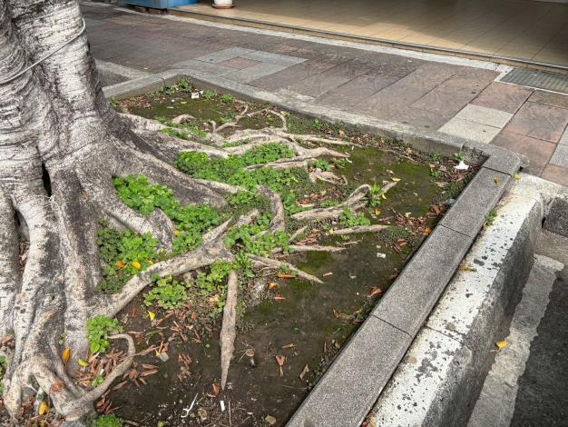 v05大業路713號-前