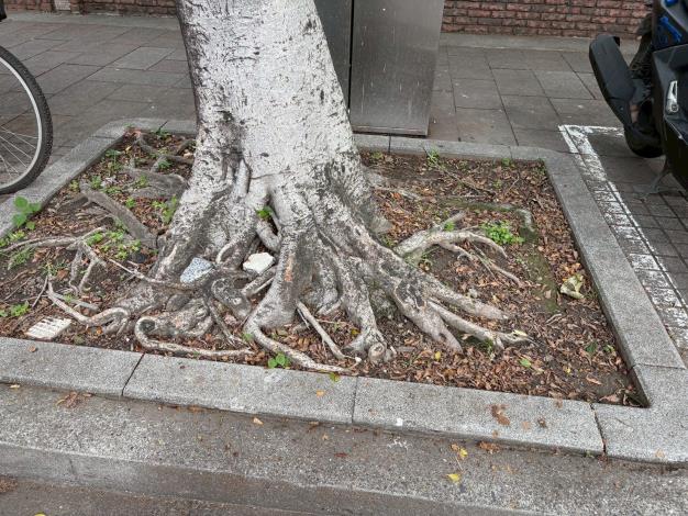 v12大業路695號-前