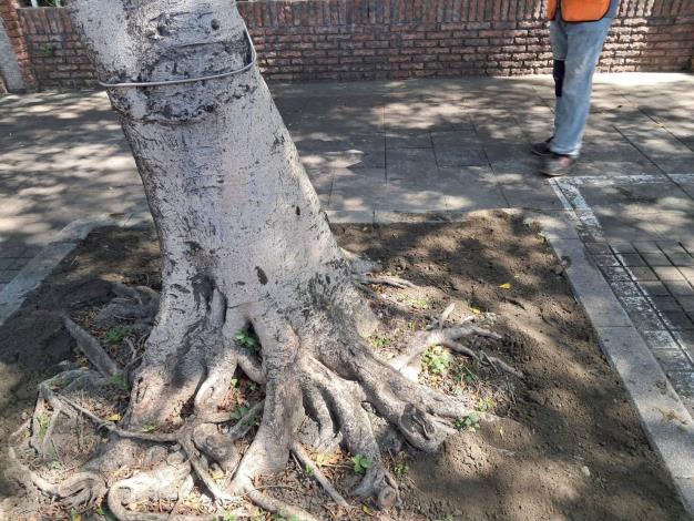 v12大業路695號-後