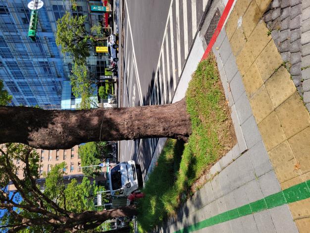 V05光復北路與健康路交叉口-完成