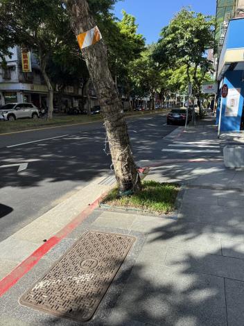 V03港墘路715巷-完成