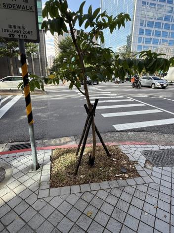 V08瑞光路交叉口施作-完成