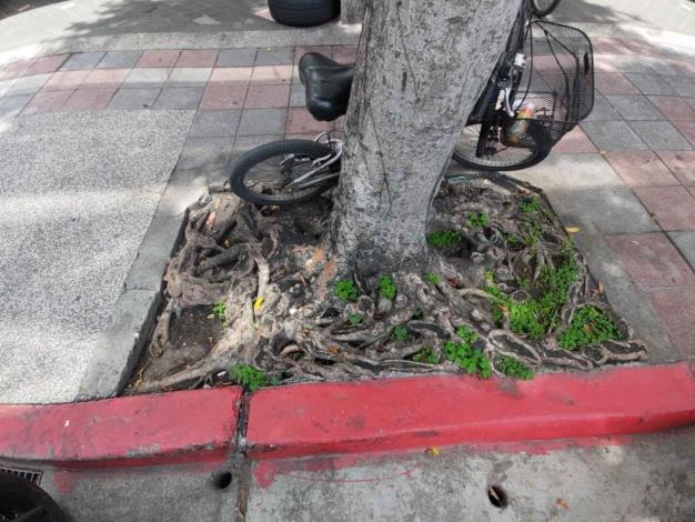 06永吉路179號前