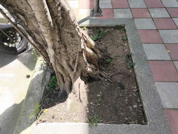 04永吉路216號前