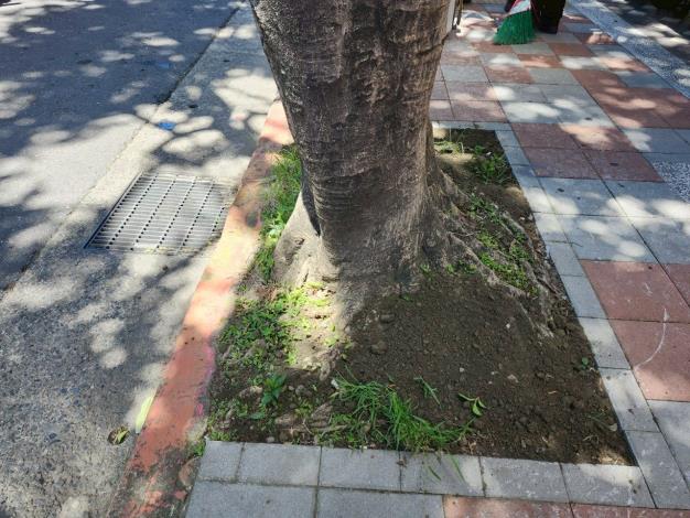 05永吉路189號前-完成