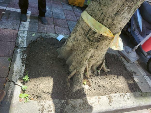 02永吉路185號前-完成