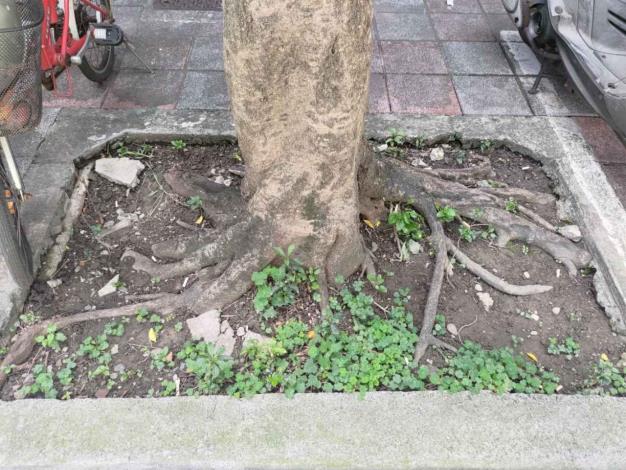 03永吉路194號前