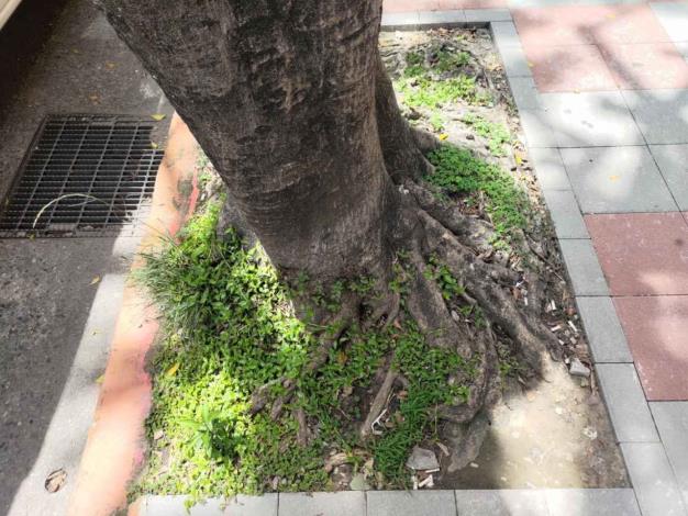 05永吉路189號前