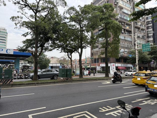 光復北路26巷(中油加油站對面分隔島)-完成V