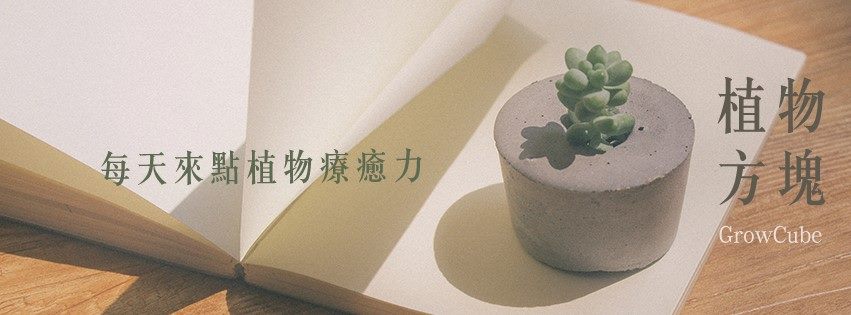 植物方塊