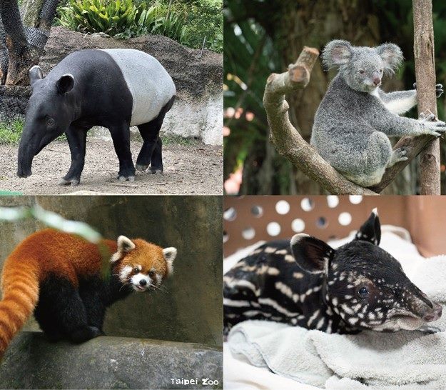 暢遊動物園