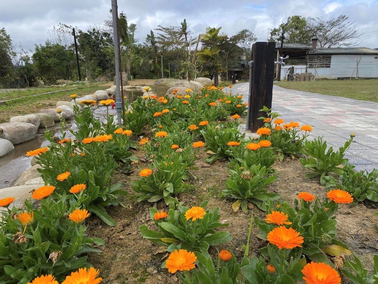 農村樂活運動會