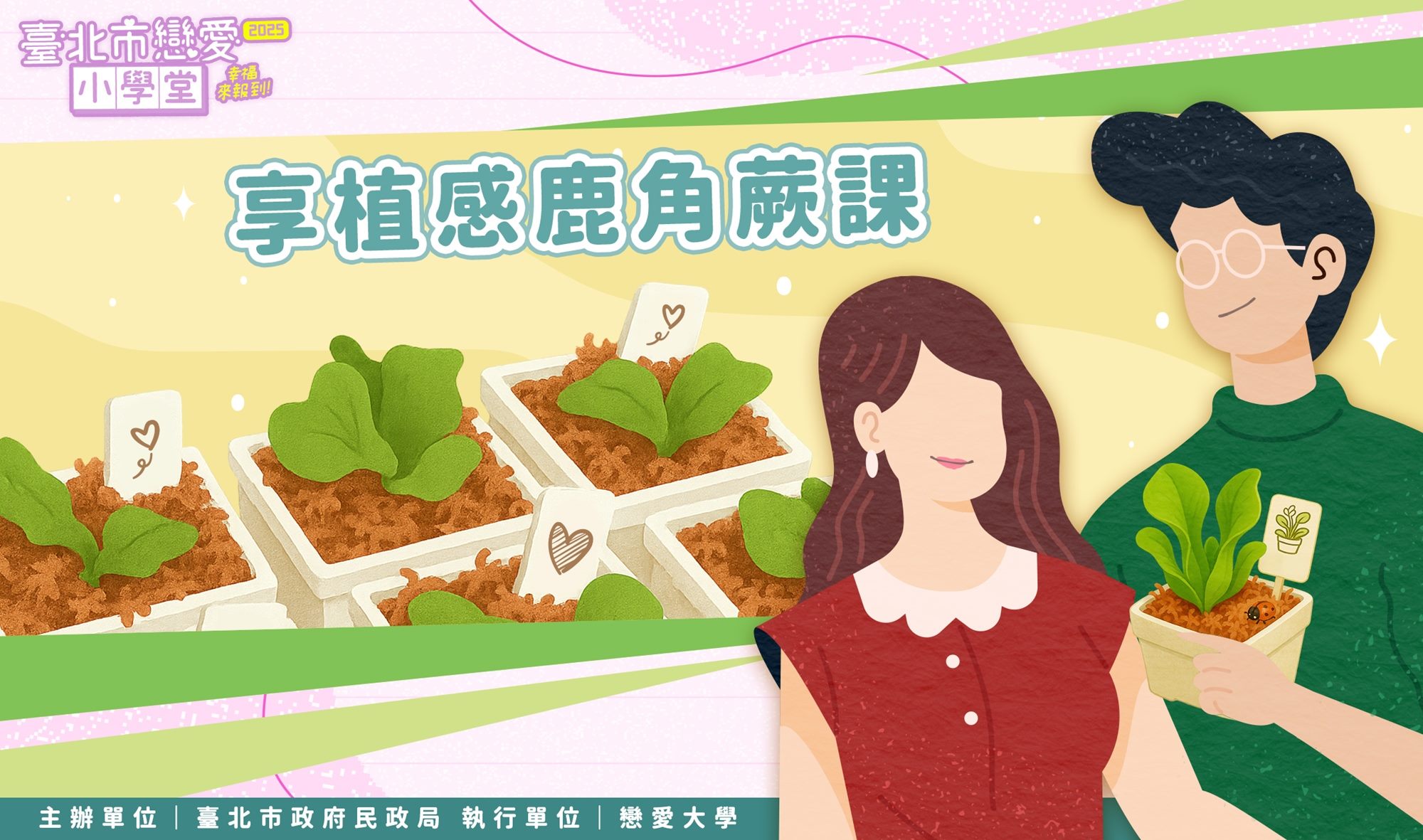 享植感鹿角蕨課