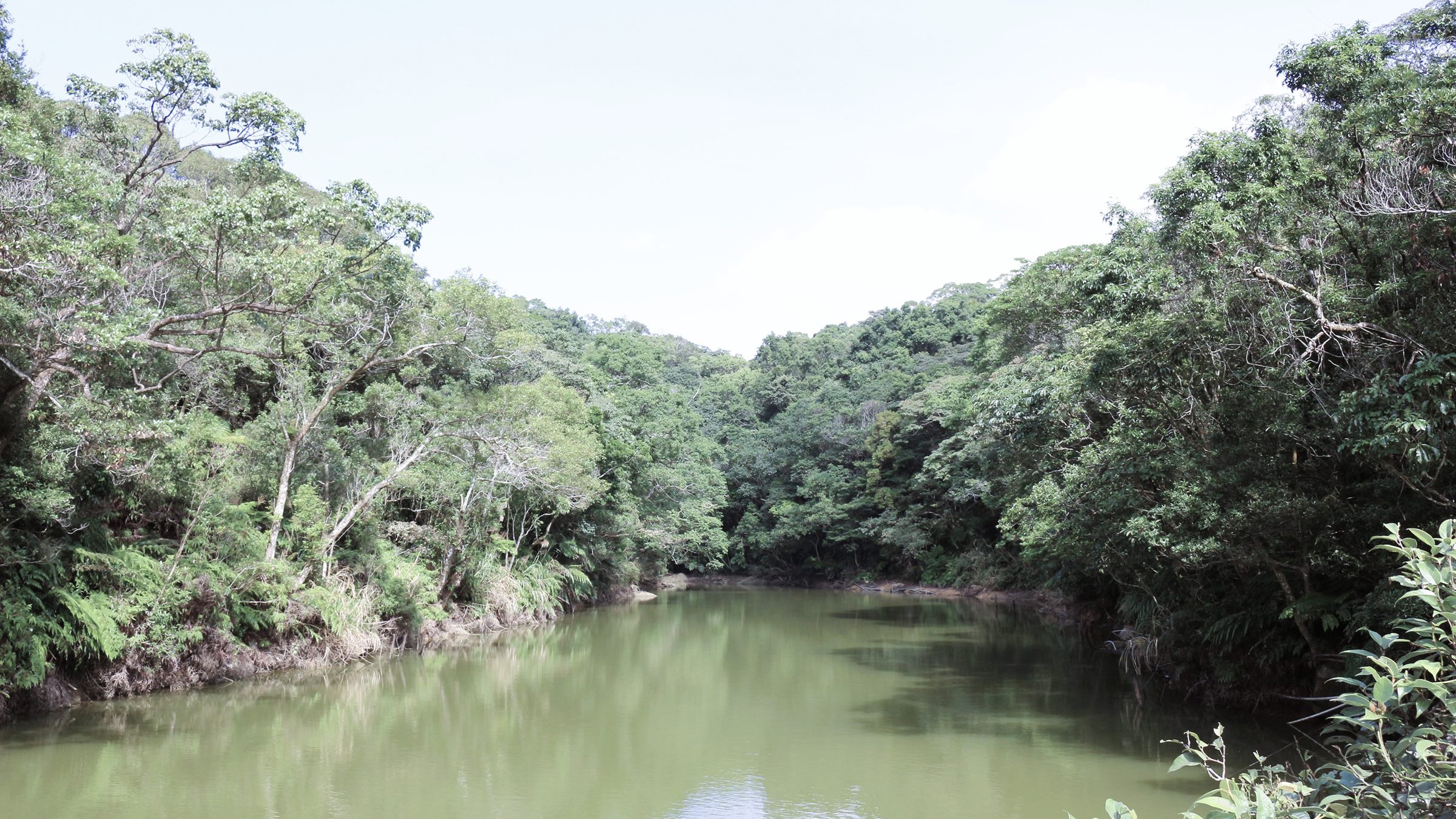 甜水鴛鴦湖(大埤頭)