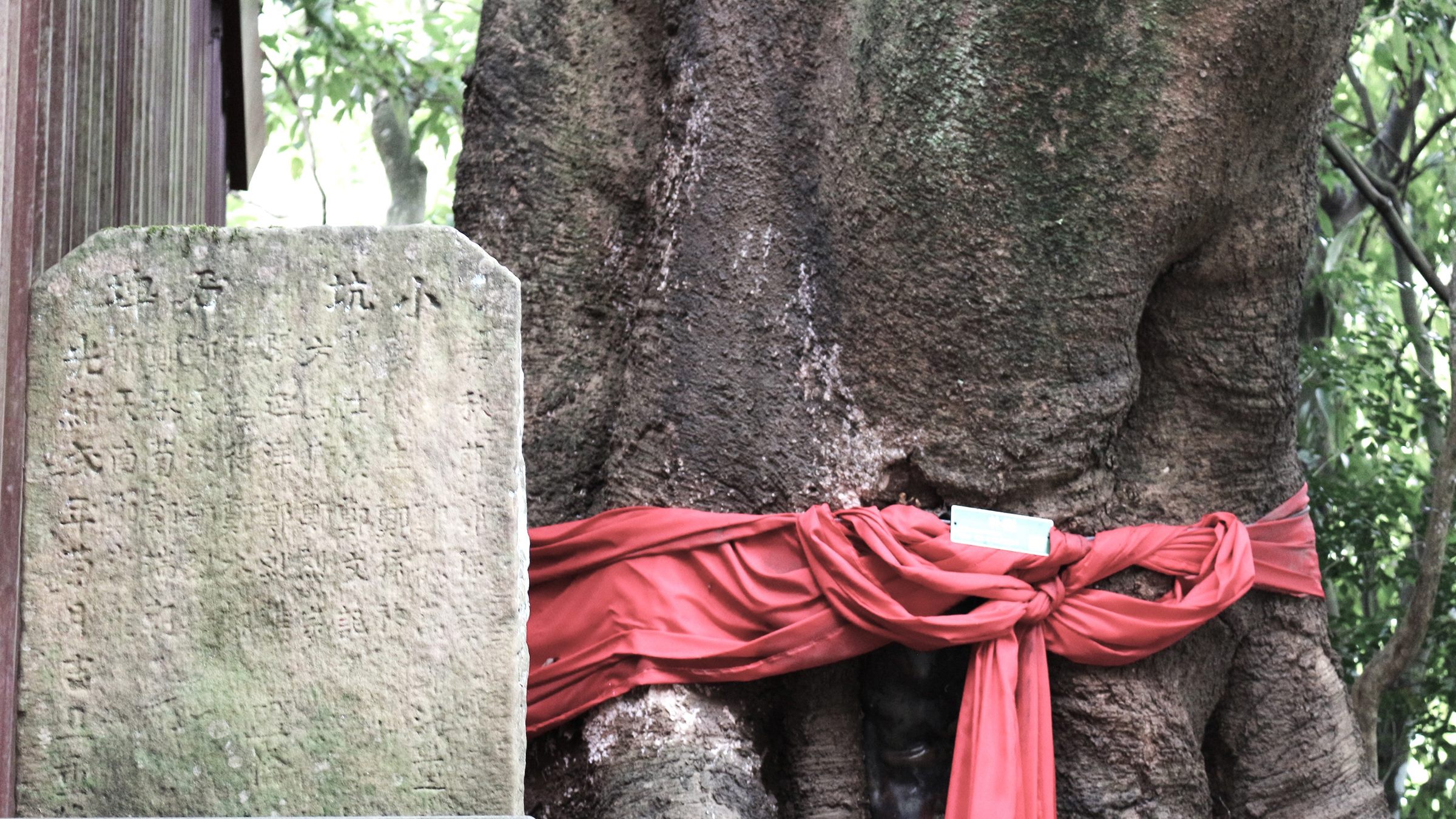 小坑溪文學步道(小坑百年土地公)