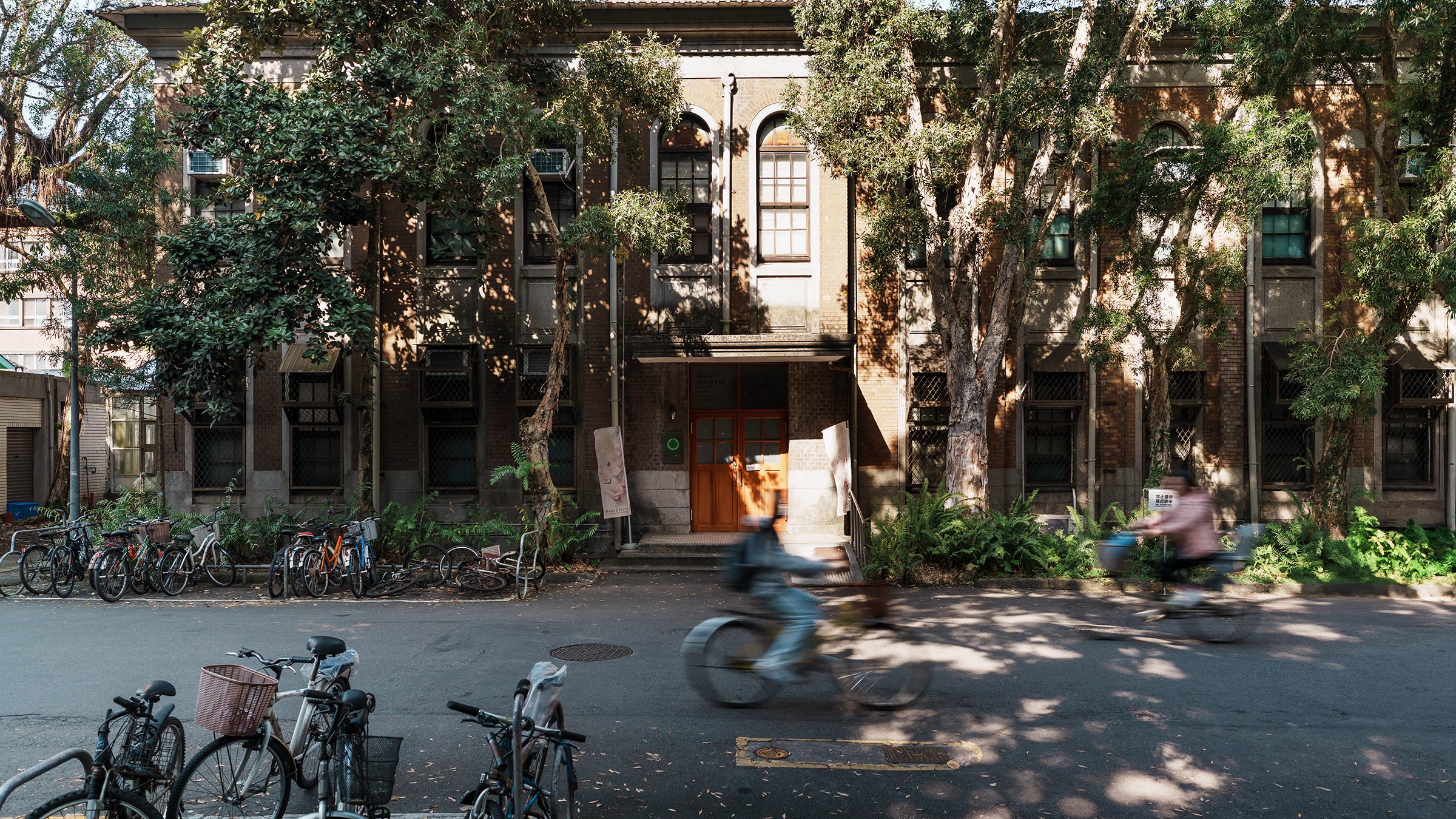 國立臺灣大學植物標本館