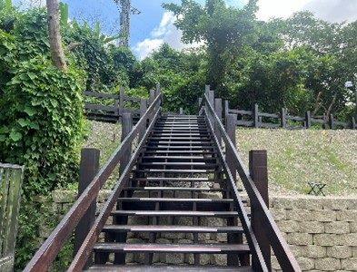 Wooden boardwalk restoration