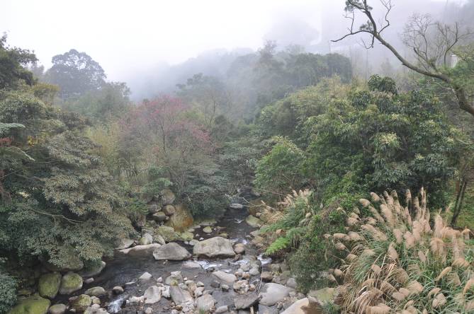 菁礐溪谷復育景致