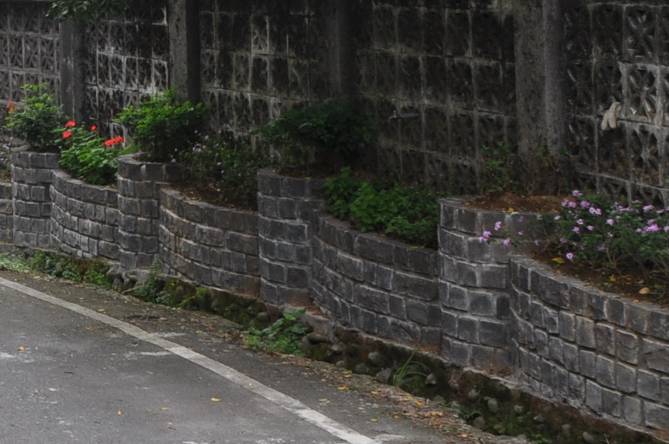 花圃花卉依四季變化景色