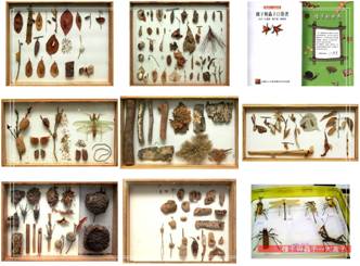 內雙溪森林自然中心4