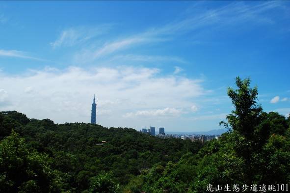 虎山生態步道遠眺101