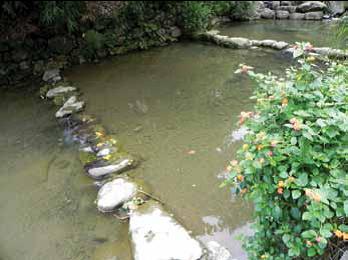 親水文學步道小坑溪過溪石橋及護岸景觀