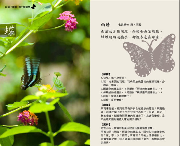 蝴蝶文學詩詞解說