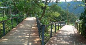 內雙溪自然中心園區木棧道