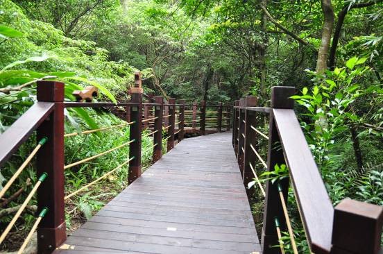 北市登山健行減壓又塑身親山步道APP  世界醫學大會展示