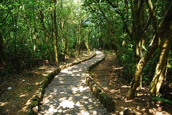 北市登山健行減壓又塑身親山步道APP 世界醫學大會展示