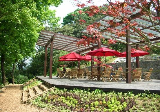 北市登山健行減壓又塑身親山步道APP 世界醫學大會展示