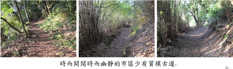 北投湖山秘境「橫嶺古道」  楓紅湛現