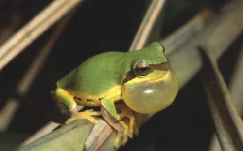 絕佳戶外生態教室