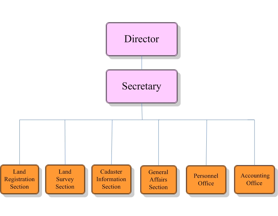 Office Organization Chart