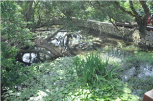 內湖白石湖農業環境改善計畫-照片2