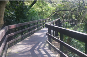 大直雞南山危險聚落拆遷整治-照片2