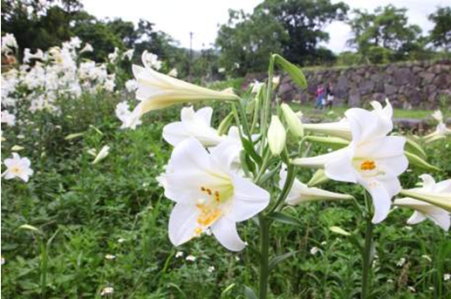 北市內雙溪自然中心照片3